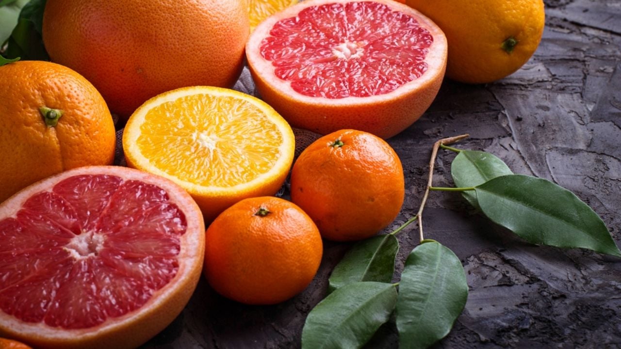 Taronges i mandarines mediterrànies per plats d’estiu